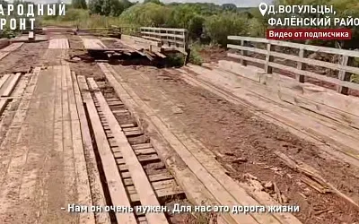 «Это дорога жизни»: жители Кировской деревни умоляют восстановить единственный мост