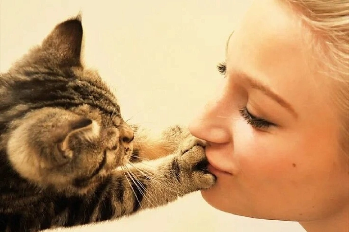 Про связь между кошками, токсоплазмозом и риском развития шизофрении