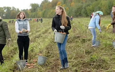 Школьниками хотят затыкать все дыры?