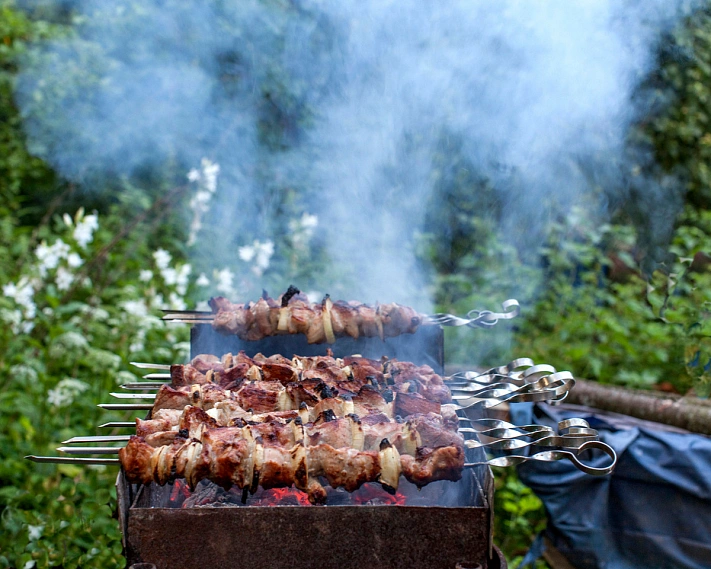 Рослесинфорг: россияне потратят порядка 10 тыс. тонн угля на жарку шашлыков