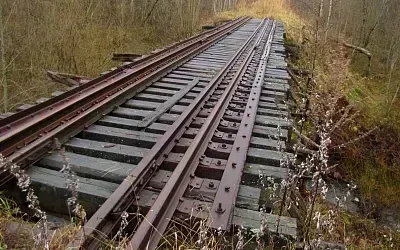 Ребенок нашел скелет мужчины на заброшенных ж/д путях в Серпухове