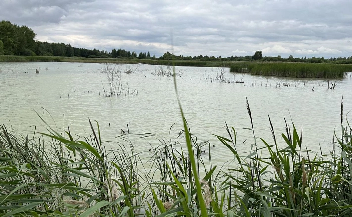 Тело четырехлетнего мальчика нашли в водоеме в Тульской области