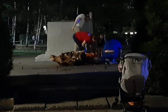 В Саратове памятник убил маленькую девочку