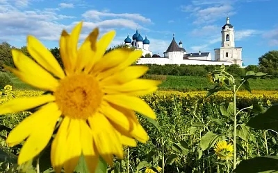 «Монастыринг» и фолк-кемпинг стали новым трендом