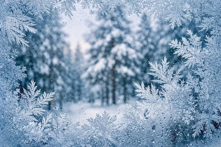 В Подмосковье снова ждут морозы в начале февраля — после короткого потепления