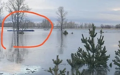 Автобус с пассажирами затонул в талых водах в Алтайском крае