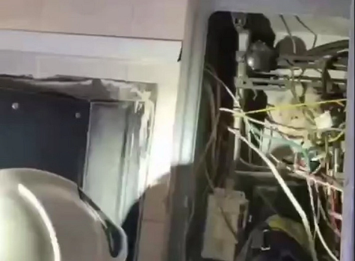 Кота, дважды спасённого из электрощитка, забрали в спасательную часть