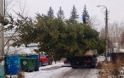 В Уфе чиновников обвинили в похищении ёлки
