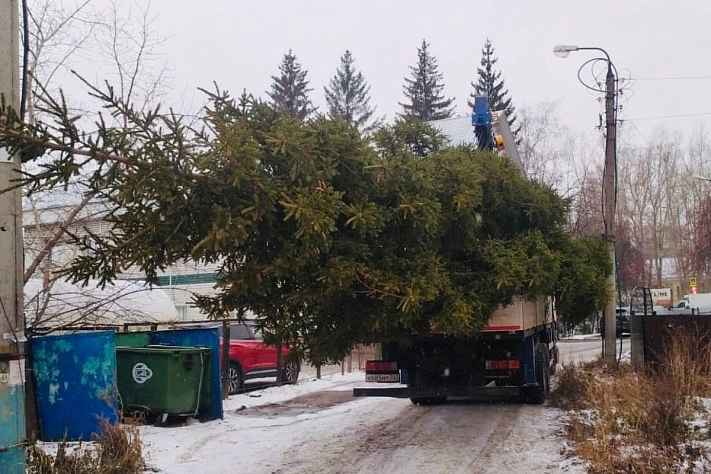 В Уфе чиновников обвинили в похищении ёлки