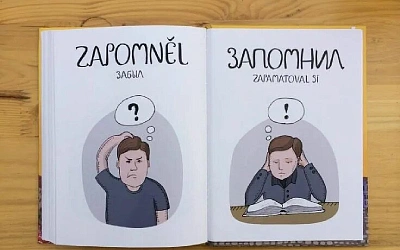 Изучение языков создаёт «нейронную защиту» от деменции