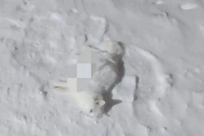 Криминальные происшествия в регионах России