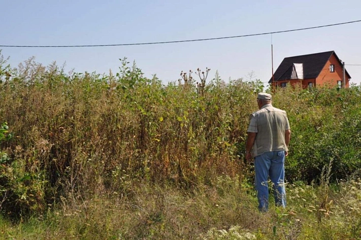 Дачникам начали приходить фальшивые штрафы за сорняки и мусор