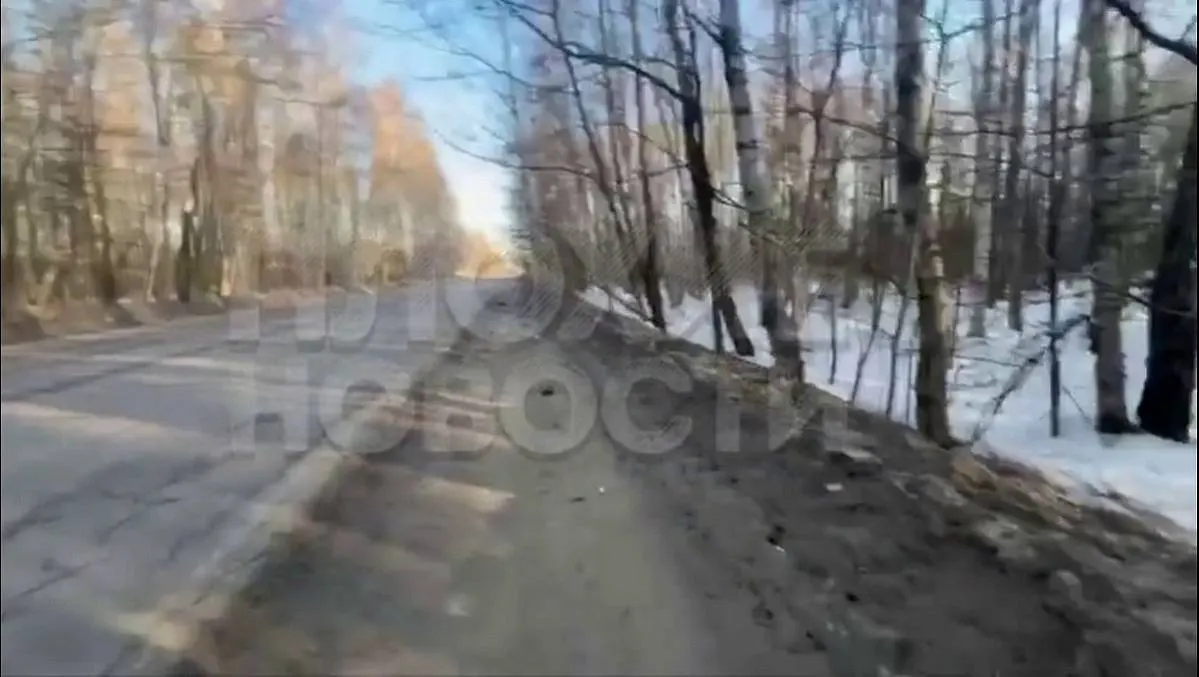 В Подмосковье на обочине трассы нашли тело женщины