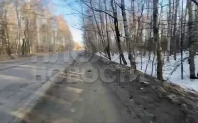 В Подмосковье на обочине трассы нашли тело женщины