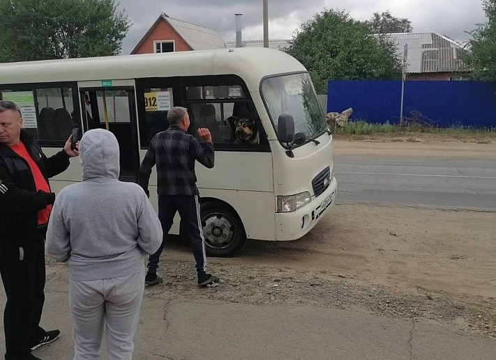 В Ростовской области агрессивная собака захватила пассажирский автобус