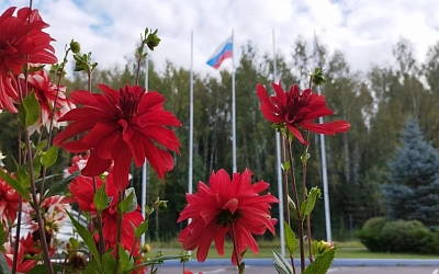 Бабье лето придёт в Центральную Россию 16 сентября