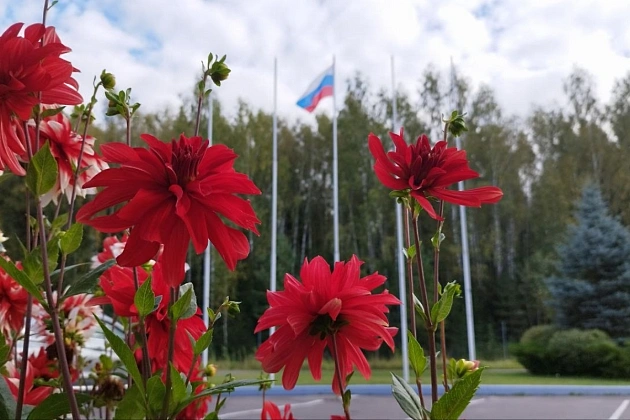 Бабье лето придёт в Центральную Россию 16 сентября