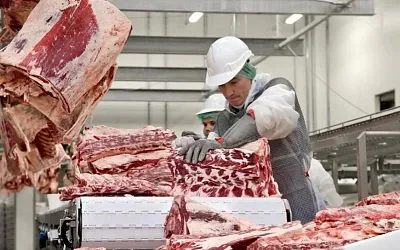 Россия вошла в число крупнейших производителей мяса в мире