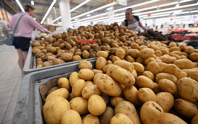Фермеры грозят уничтожить картофель из-за падения закупок сетями и нашествия импорта