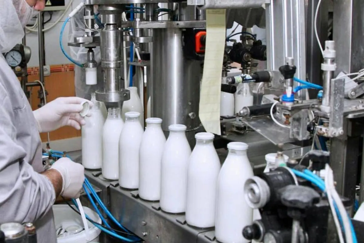 Главное о подорожании молочной продукции: что изменится в феврале?