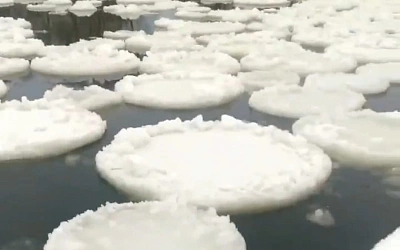 На реке в Подмосковье люди наблюдают морское явление