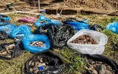 Менка показала жизнь после большого пожара