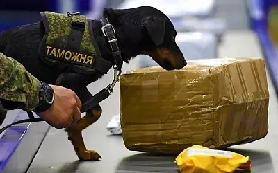 Зарубежные онлайн-покупки обложат НДС
