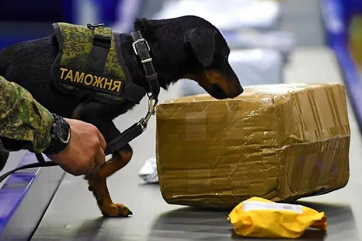 Зарубежные онлайн-покупки обложат НДС