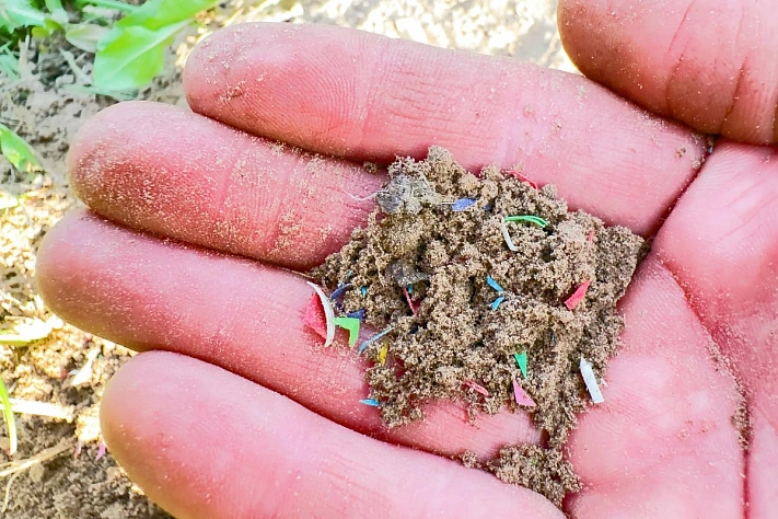 Новгородские уёеные доказали, что микропластик снижает плодородие сельхозземель