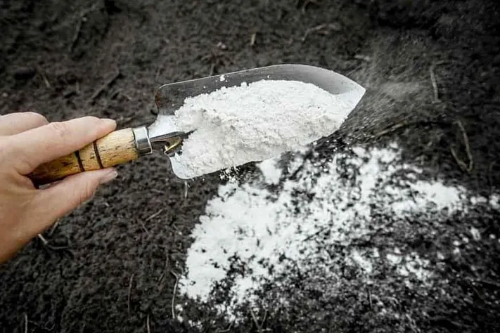 Регулируем и определяем кислотность почвы на даче