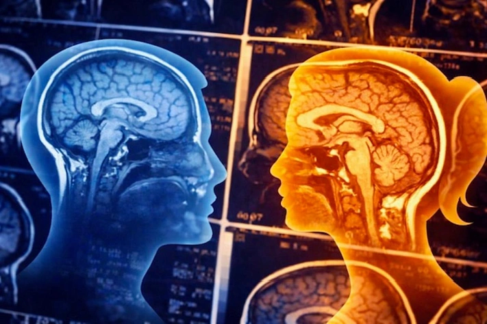 Израильские ученые нашли в мозге «переключатель» пола