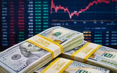 Инвесторы вывели из фондов денежного рынка 173 млрд долларов