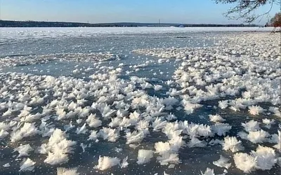 На реках под Воронежем появились ледяные цветы