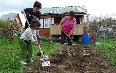 ВЦИОМ: Женщины в майские праздники будут чаще заниматься огородом