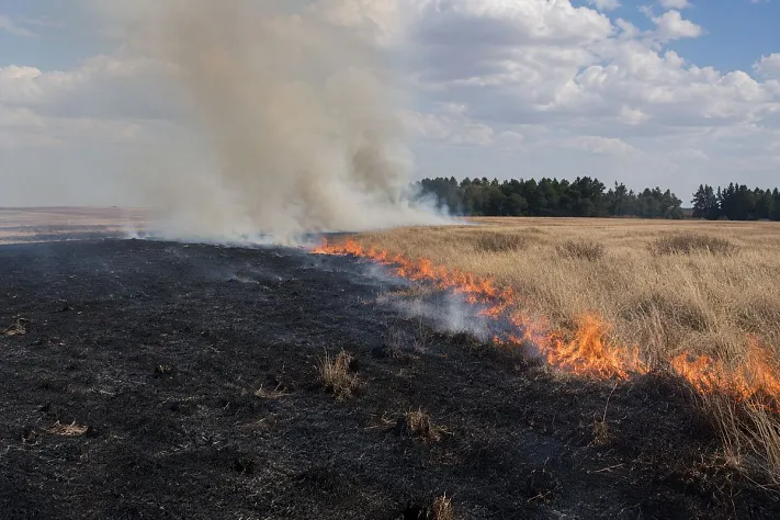 В Казахстане за неделю потушили 47 лесных пожаров