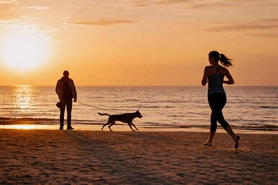 связь собак и людей оказалась старше, чем думали многие