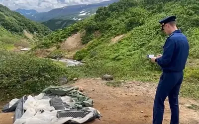 Медведь напал на спящую туристку на Камчатке