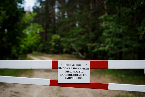 Один за другим регионы России вводят запреты на посещение лесов