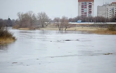 Уровень воды в Тоболе возле Кургана приблизился к 9 метрам