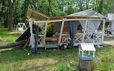 В Самаре дерево рухнуло на беседку, где детсадовцы отмечали выпускной