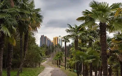 Сочи и Ялта обгоняют Москву