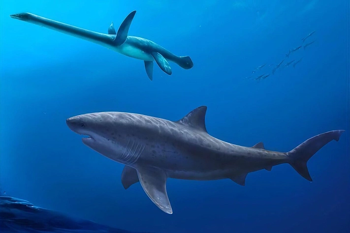 А Австралии учёные обнаружили останки древнейшей огромной акулы