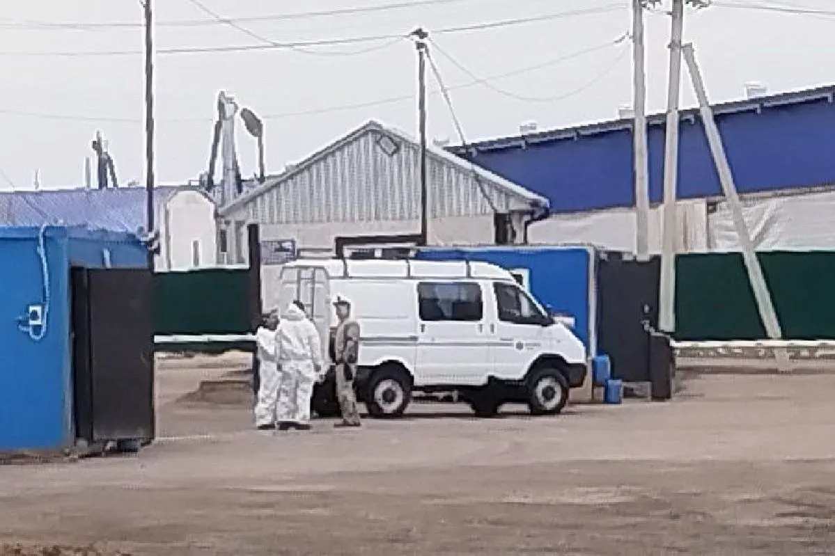 В Кузбассе на въезде в агрокомплекс выставлены блокпосты