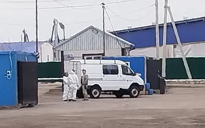 В Кузбассе на въезде в агрокомплекс выставлены блокпосты