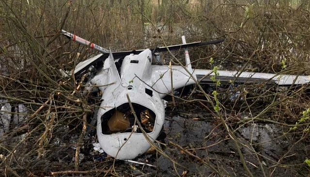 В Подмосковных лесах оттаяли дроны