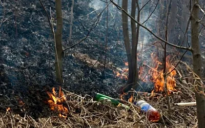 Шашлыки под запретом: в Свердловской области вводят особый противопожарный режим