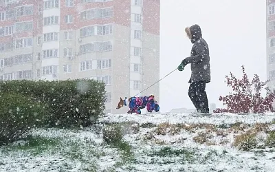 Москву и Подмосковье ждут три дня снегопада