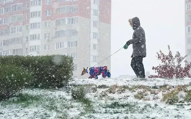Москву и Подмосковье ждут три дня снегопада