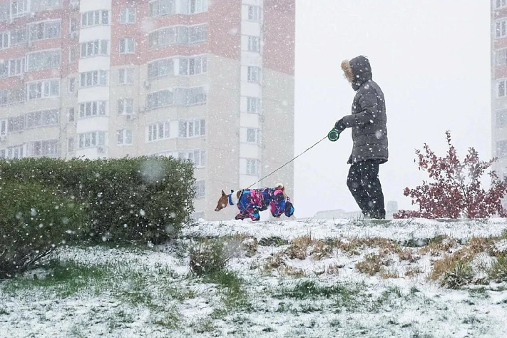 Москву и Подмосковье ждут три дня снегопада