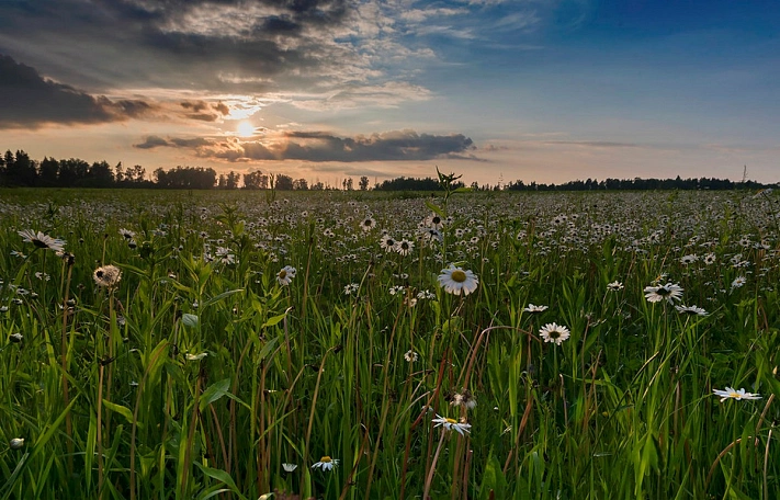 Воскресенье выдастся погожим